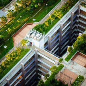 Aerial view of buildings with green grass growing on top